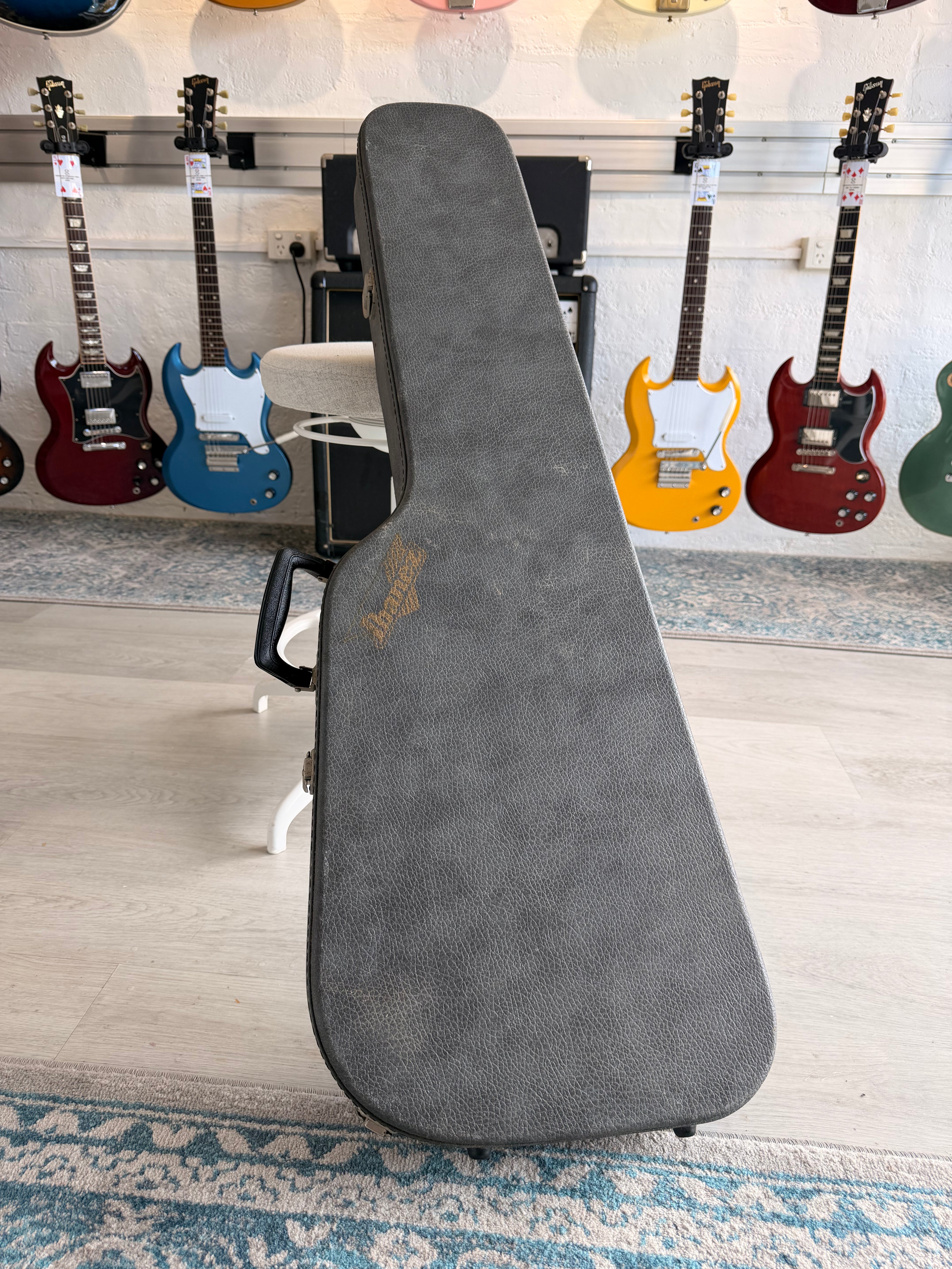 Ibanez Vinnie Moore VM-1